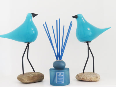 Set of 2 Diffusers Blue & Pink