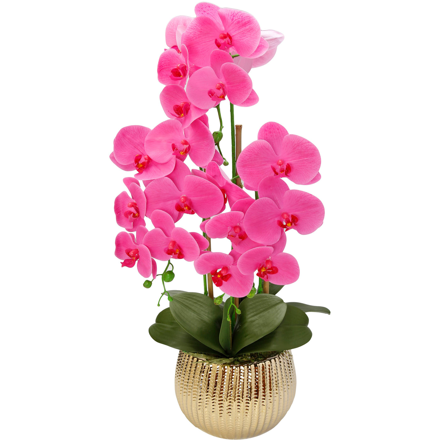 Pink Orchid Plant in Round Gold Striped Design Vase