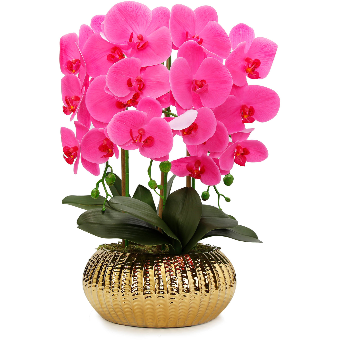 Pink Orchid Plant in Flat Round Gold Hammered Vase